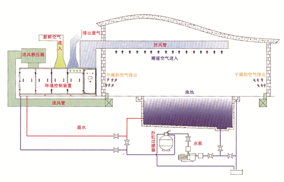 瀚宇水處理：如果做好這些，奧運(yùn)泳池怎么會(huì)“綠”?